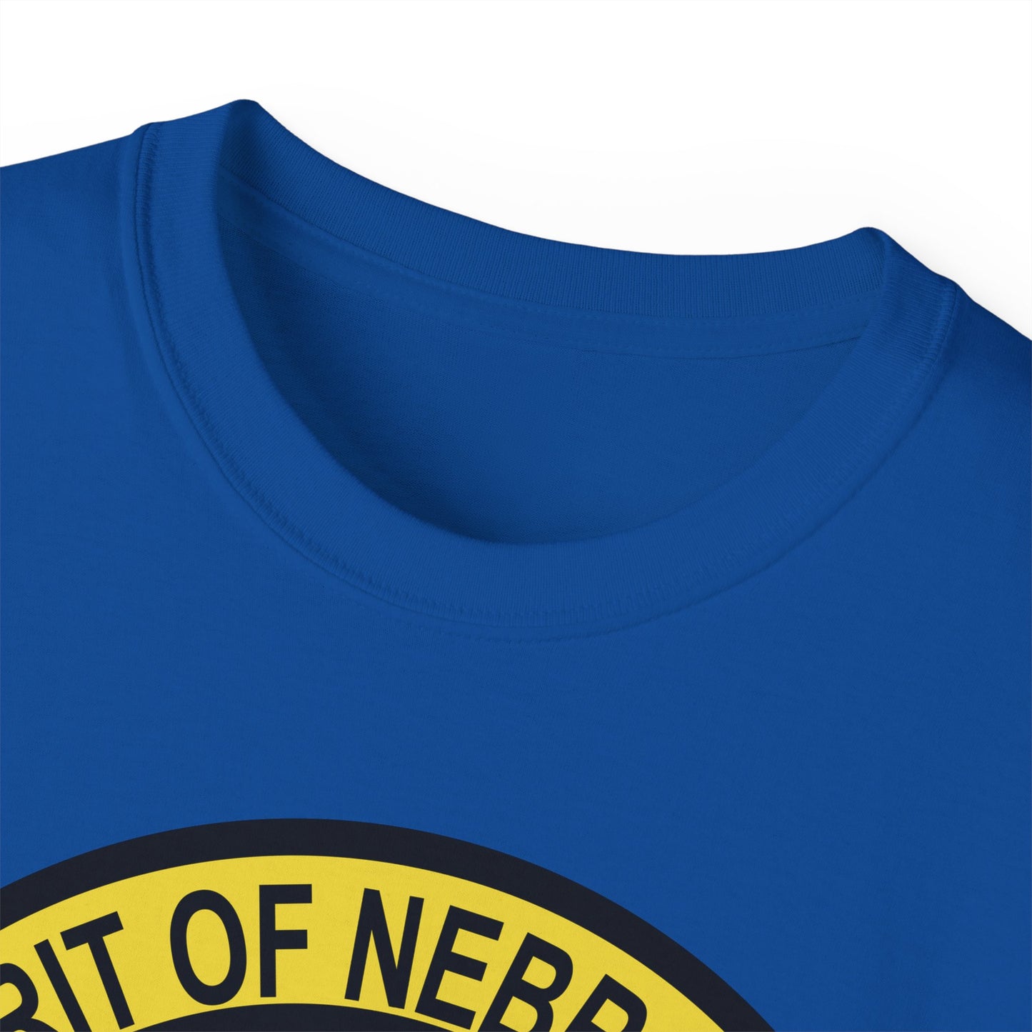 Unisex Ultra Cotton Tee - USAF - B2 - Spirit of Nebraska - Stealth Bomber wo txt X 300