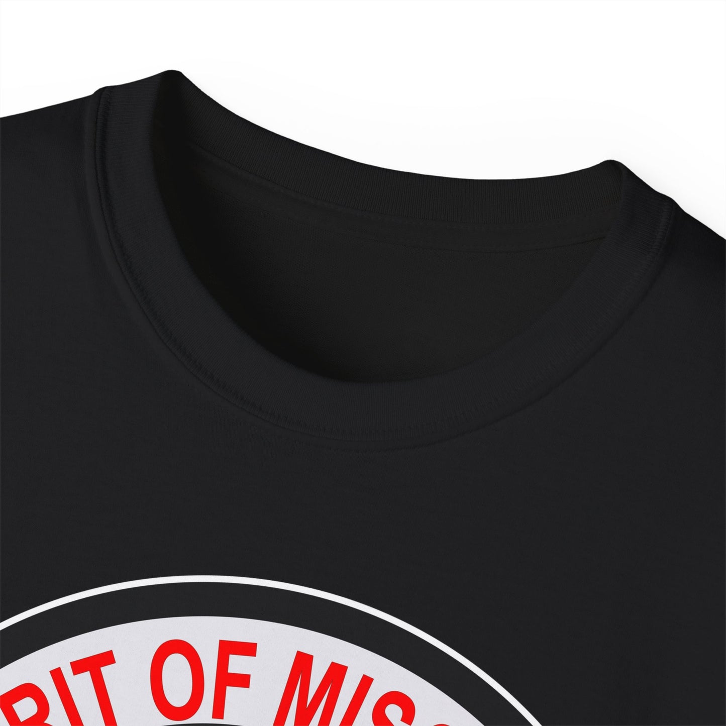 Unisex Ultra Cotton Tee - USAF - B2 - Spirit of Missouri - Stealth Bomber wo Txt