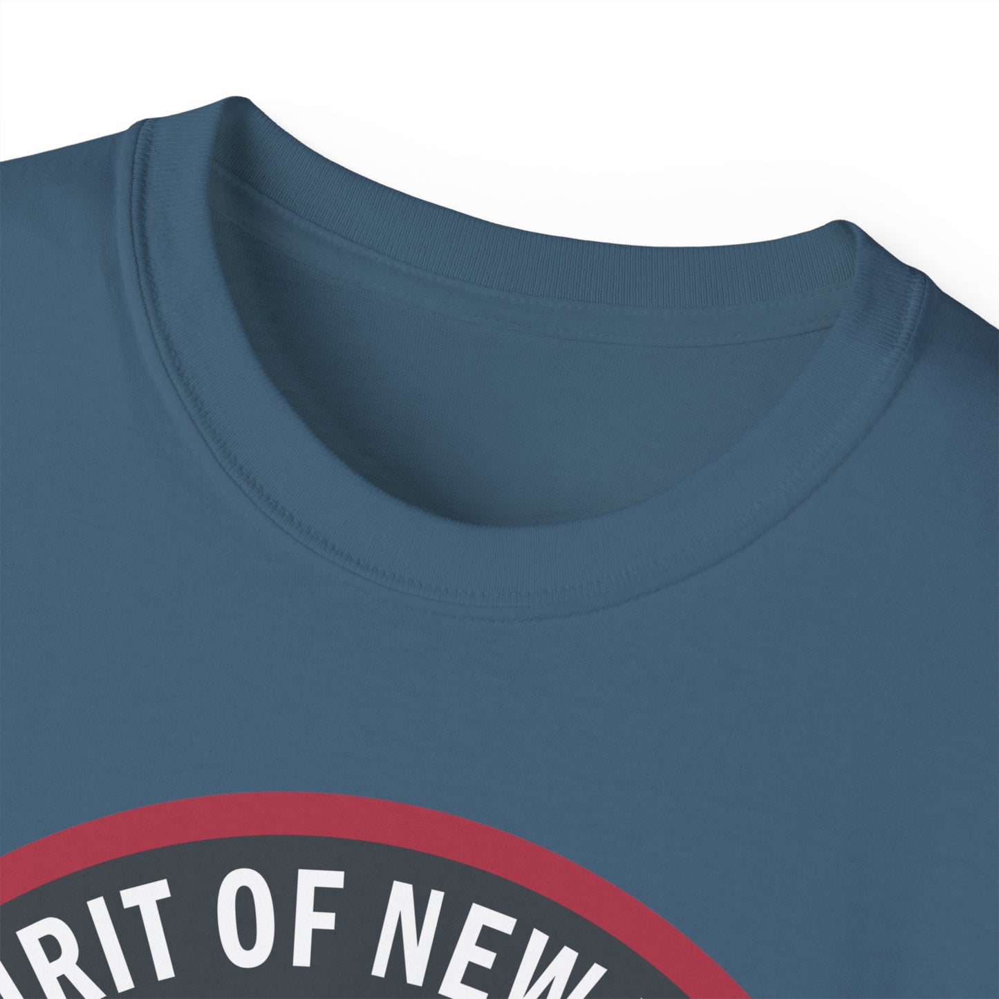 Unisex Ultra Cotton Tee - USAF - B2 - Spirit of New York - Stealth Bomber wo txt X 300
