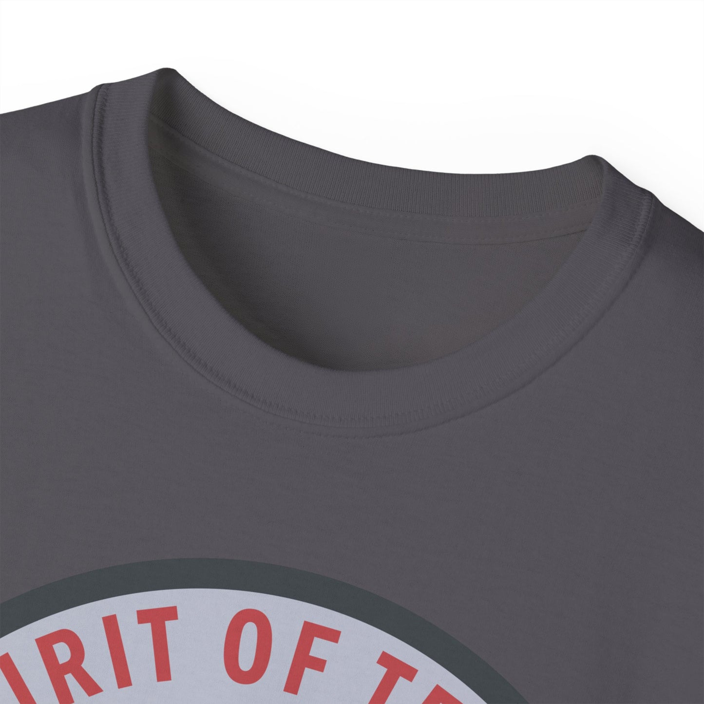 Unisex Ultra Cotton Tee - USAF - B2 - Spirit of Texas - Stealth Bomber wo txt X 300