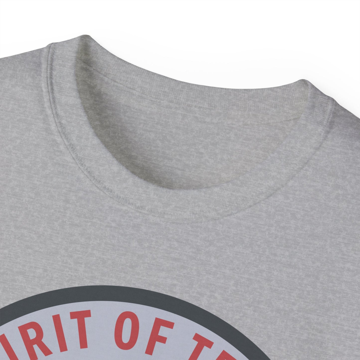 Unisex Ultra Cotton Tee - USAF - B2 - Spirit of Texas - Stealth Bomber wo txt X 300
