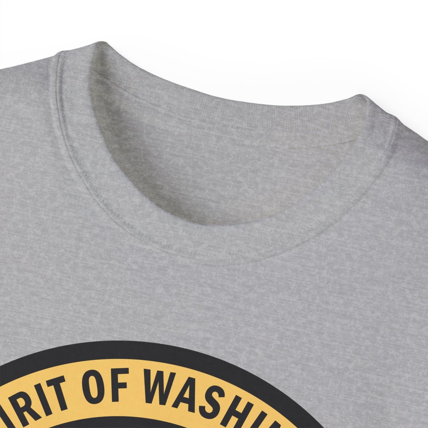 Unisex Ultra Cotton Tee - USAF - B2 - Spirit of Washington - Stealth Bomber wo txt X 300