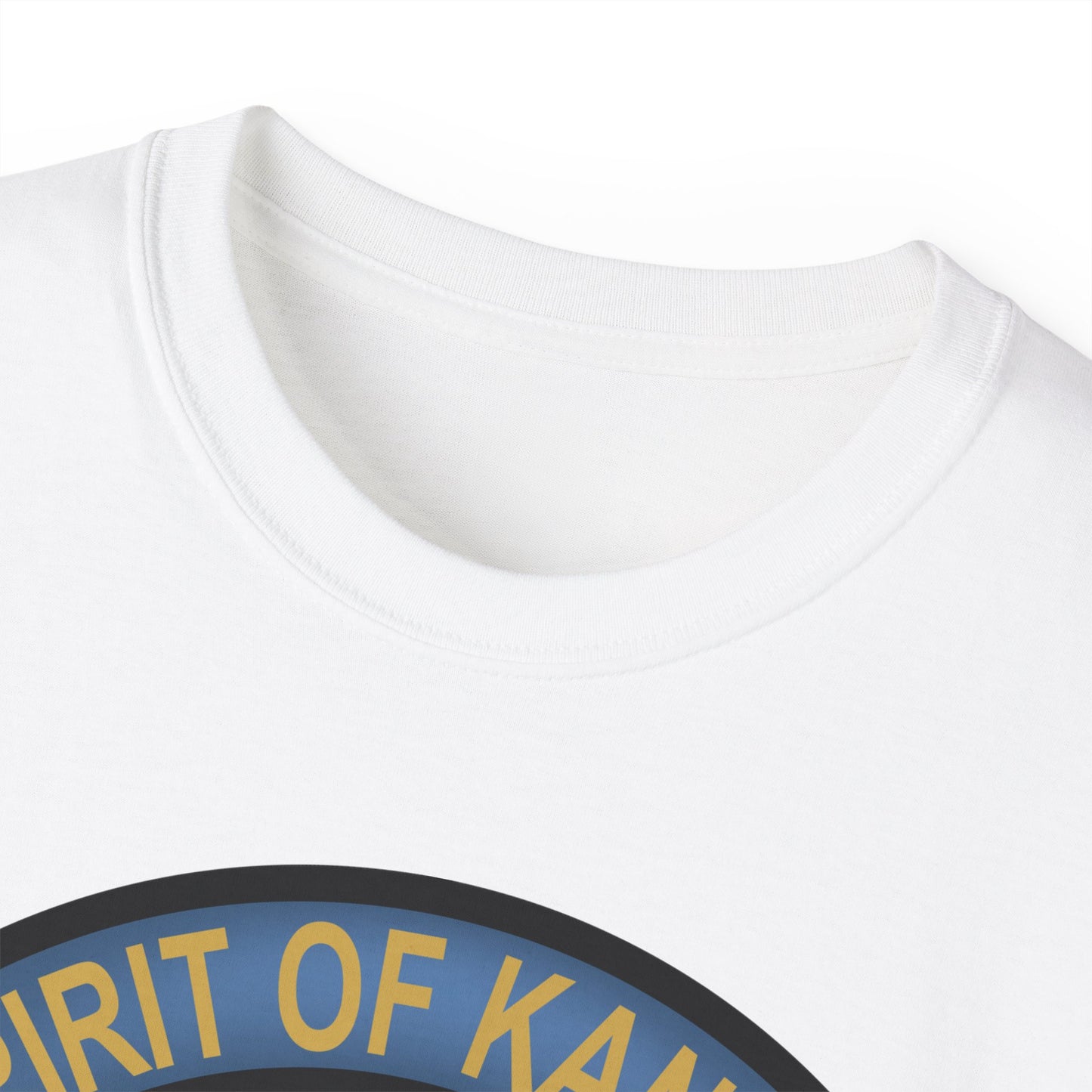 Unisex Ultra Cotton Tee - USAF - B2 - Spirit of Kansas - Stealth Bomber wo txt X 300