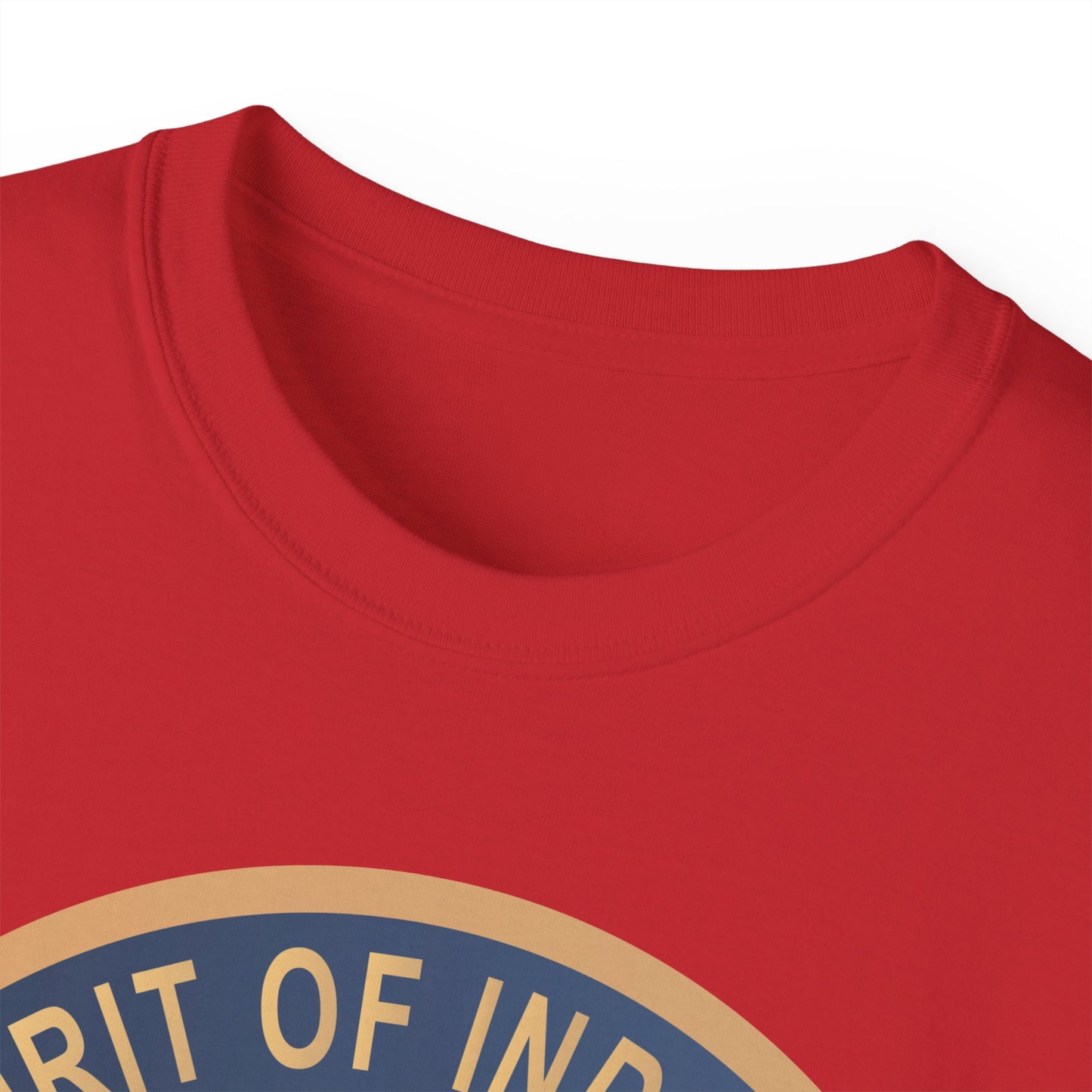 Unisex Ultra Cotton Tee - USAF - B2 - Spirit of Indiana - Stealth Bomber wo txt X 300