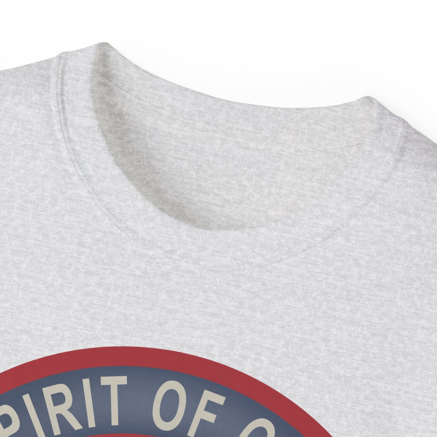 Unisex Ultra Cotton Tee - USAF - B2 - Spirit of Ohio - Stealth Bomber wo txt X 300