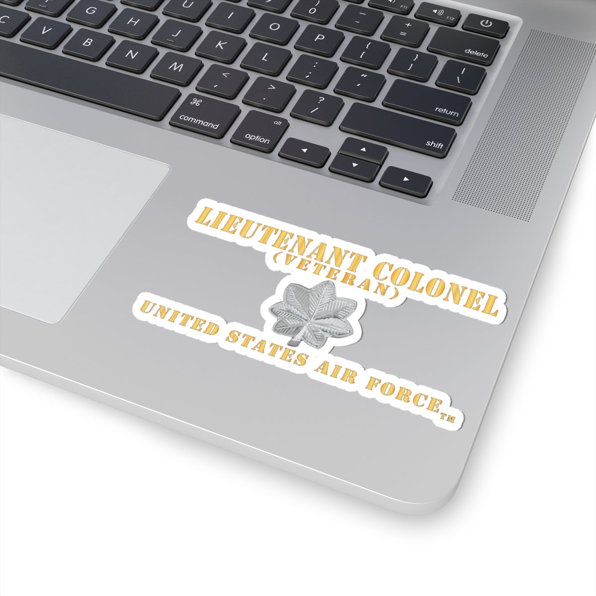 Kiss-Cut Stickers - USAF - Lieutenant Colonel - LTC - Veteran - Flat - TM X 300