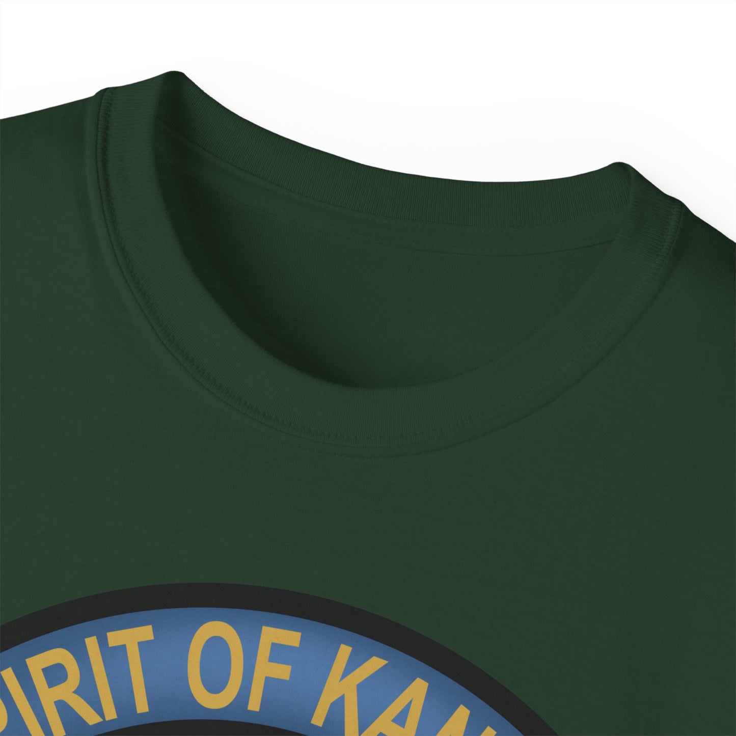 Unisex Ultra Cotton Tee - USAF - B2 - Spirit of Kansas - Stealth Bomber wo txt X 300