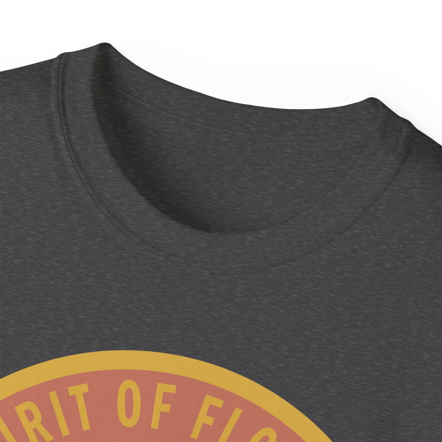 Unisex Ultra Cotton Tee - USAF - B2 - Spirit of Florida - Stealth Bomber wo txt X 300