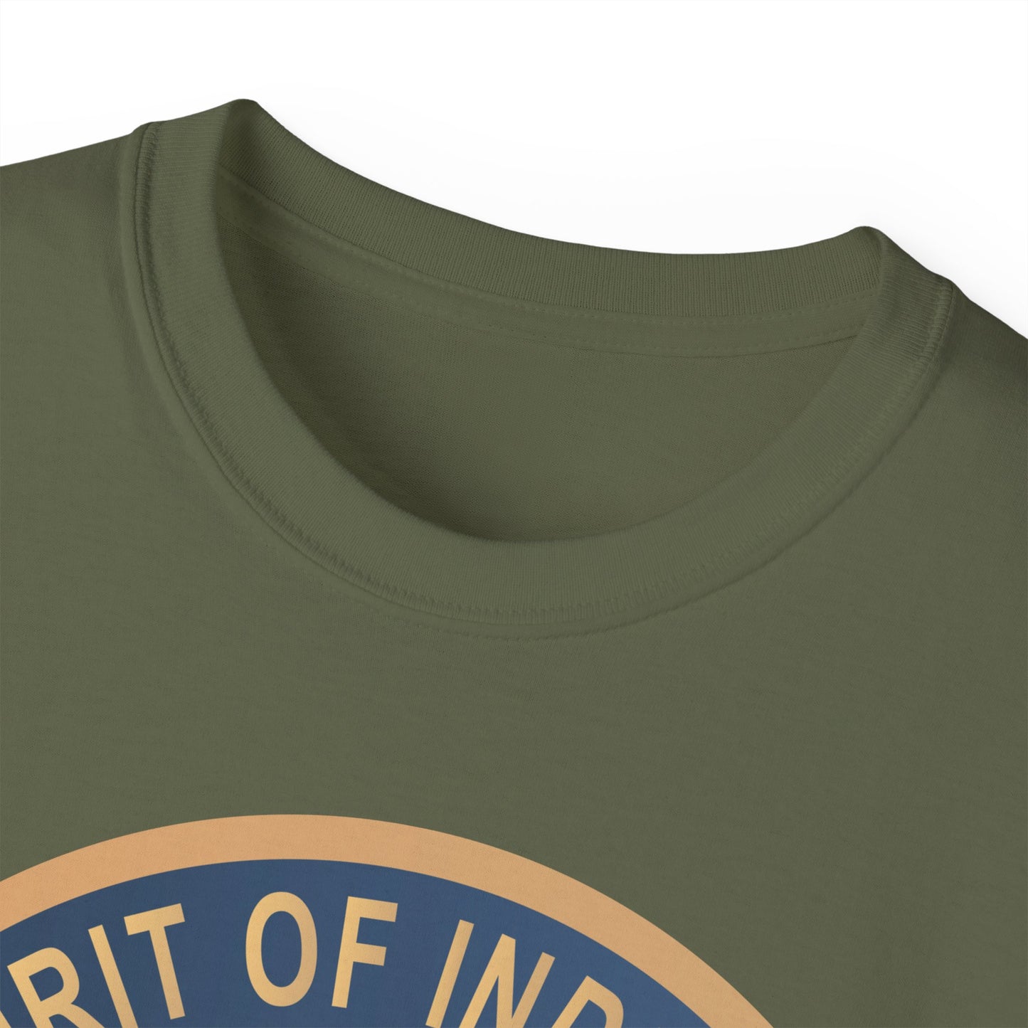 Unisex Ultra Cotton Tee - USAF - B2 - Spirit of Indiana - Stealth Bomber wo txt X 300