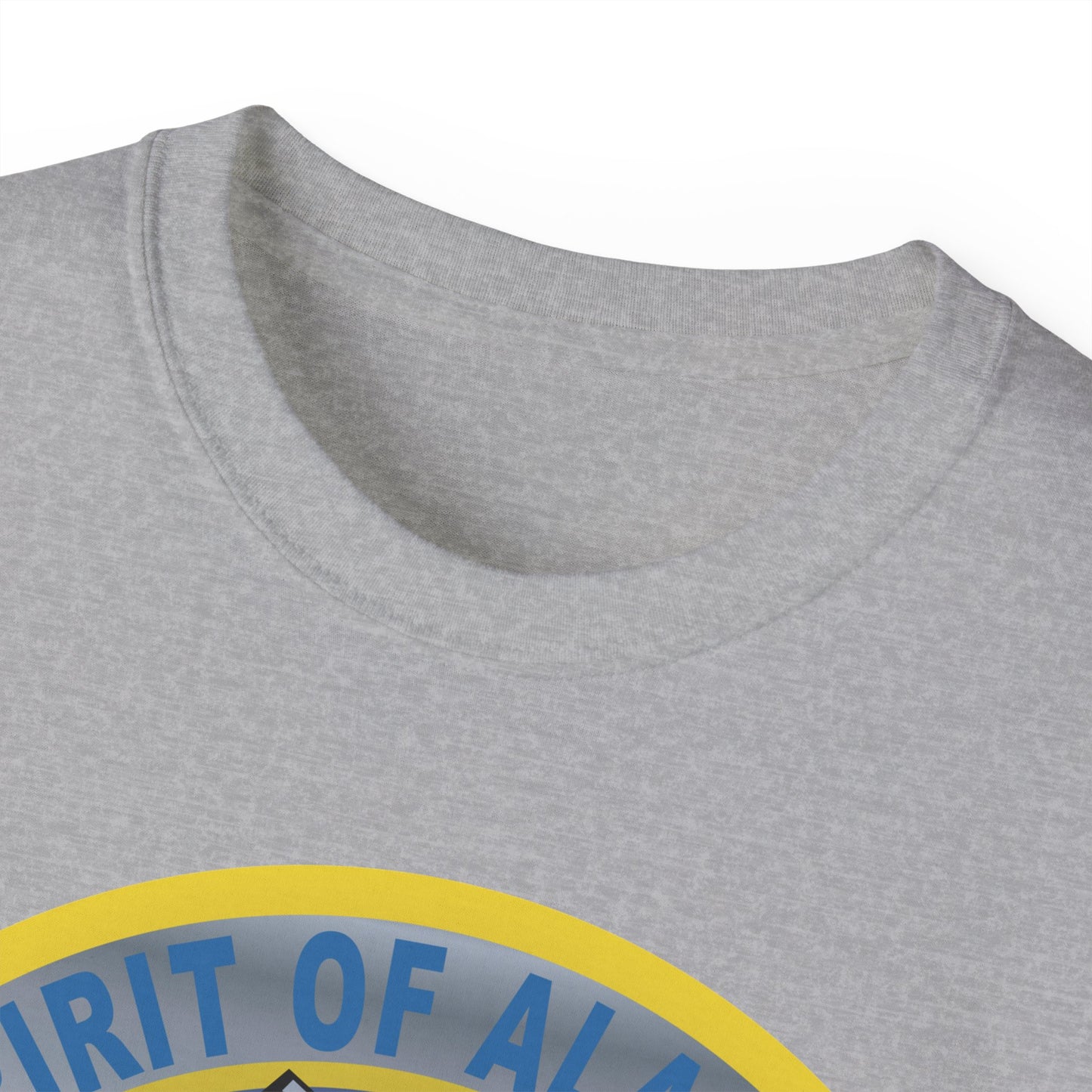 Unisex Ultra Cotton Tee - USAF - B2 - Spirit of Alaska - Stealth Bomber wo txt X 300