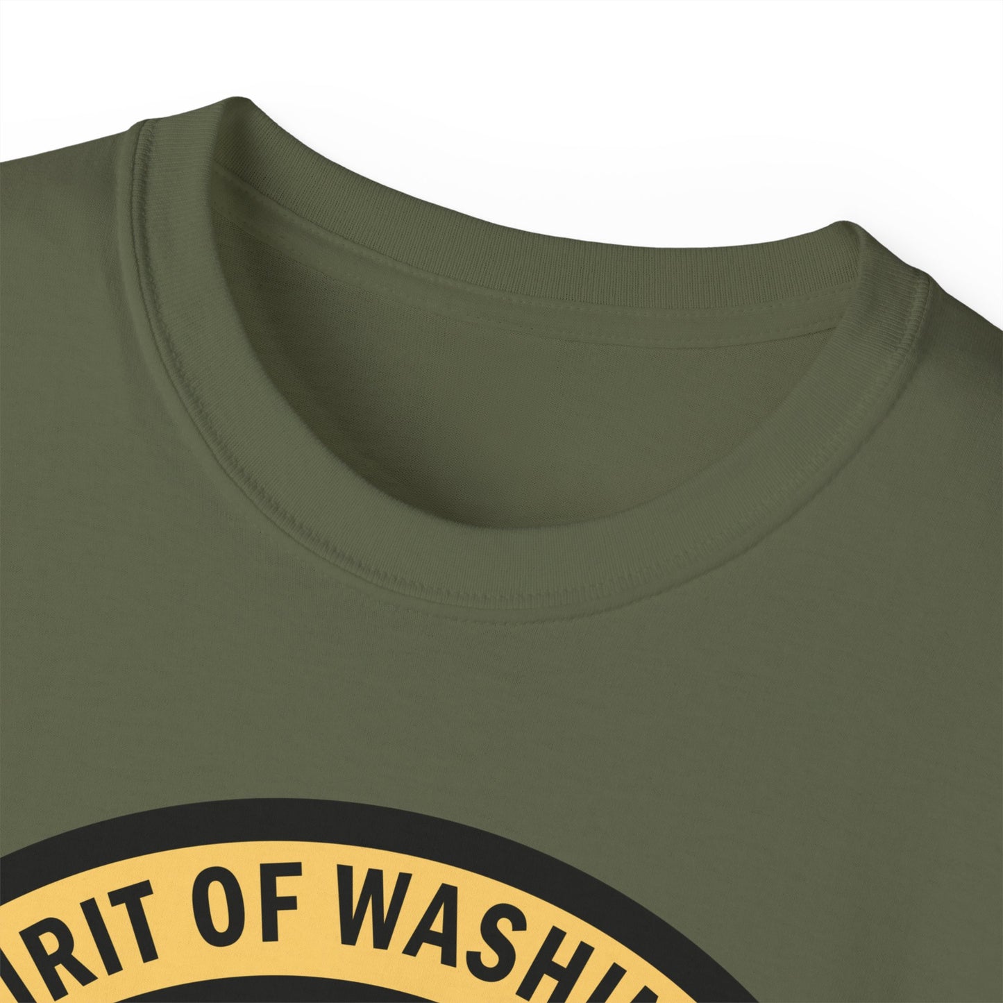 Unisex Ultra Cotton Tee - USAF - B2 - Spirit of Washington - Stealth Bomber wo txt X 300