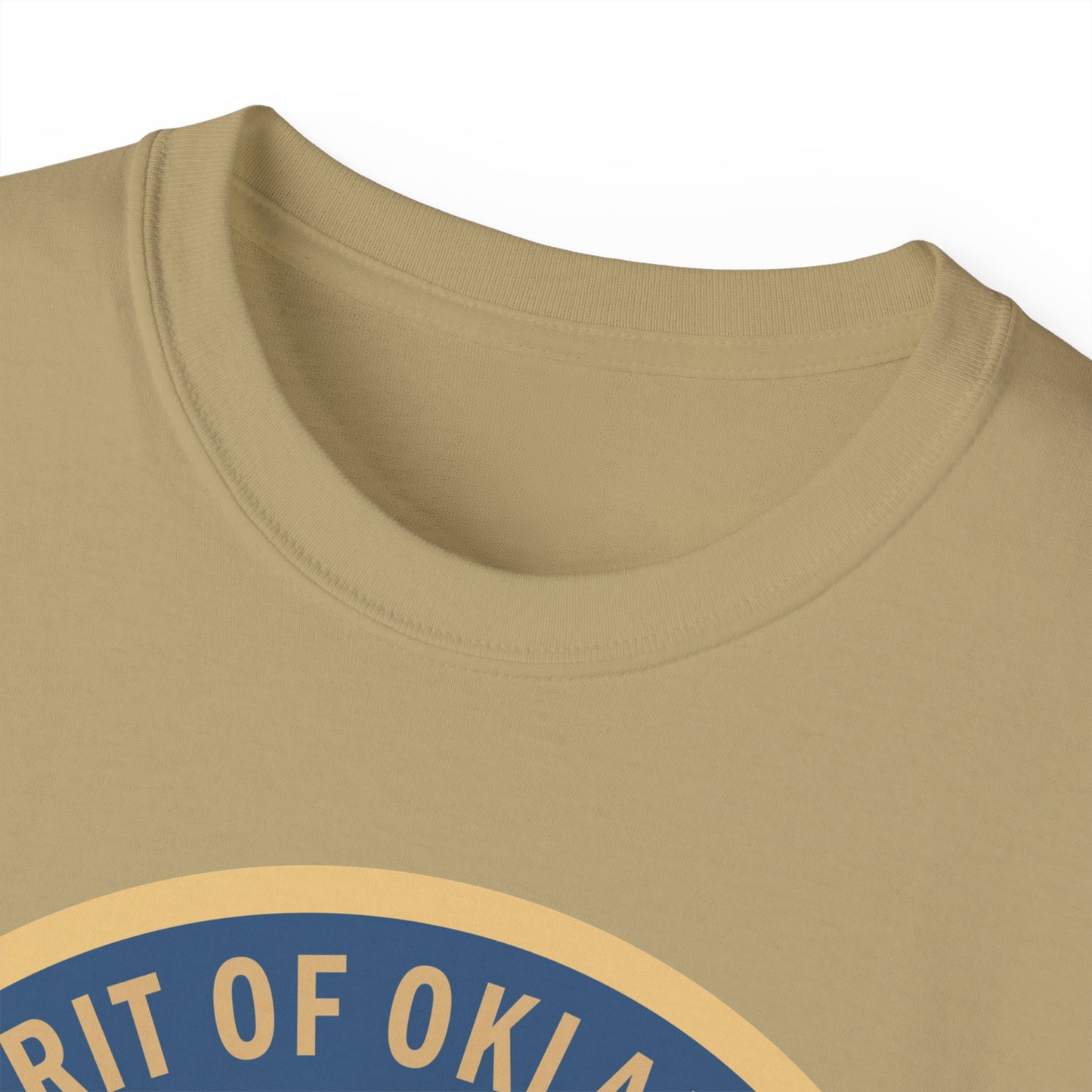 Unisex Ultra Cotton Tee - USAF - B2 - Spirit of Oklahoma - Stealth Bomber wo txt X 300