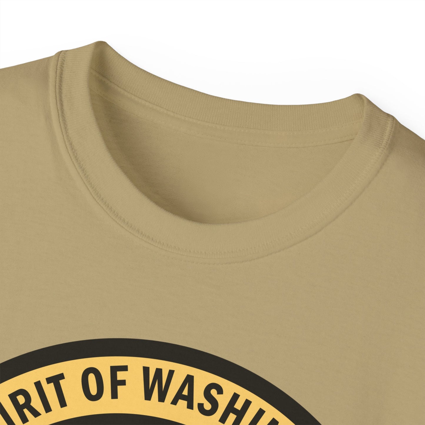 Unisex Ultra Cotton Tee - USAF - B2 - Spirit of Washington - Stealth Bomber wo txt X 300