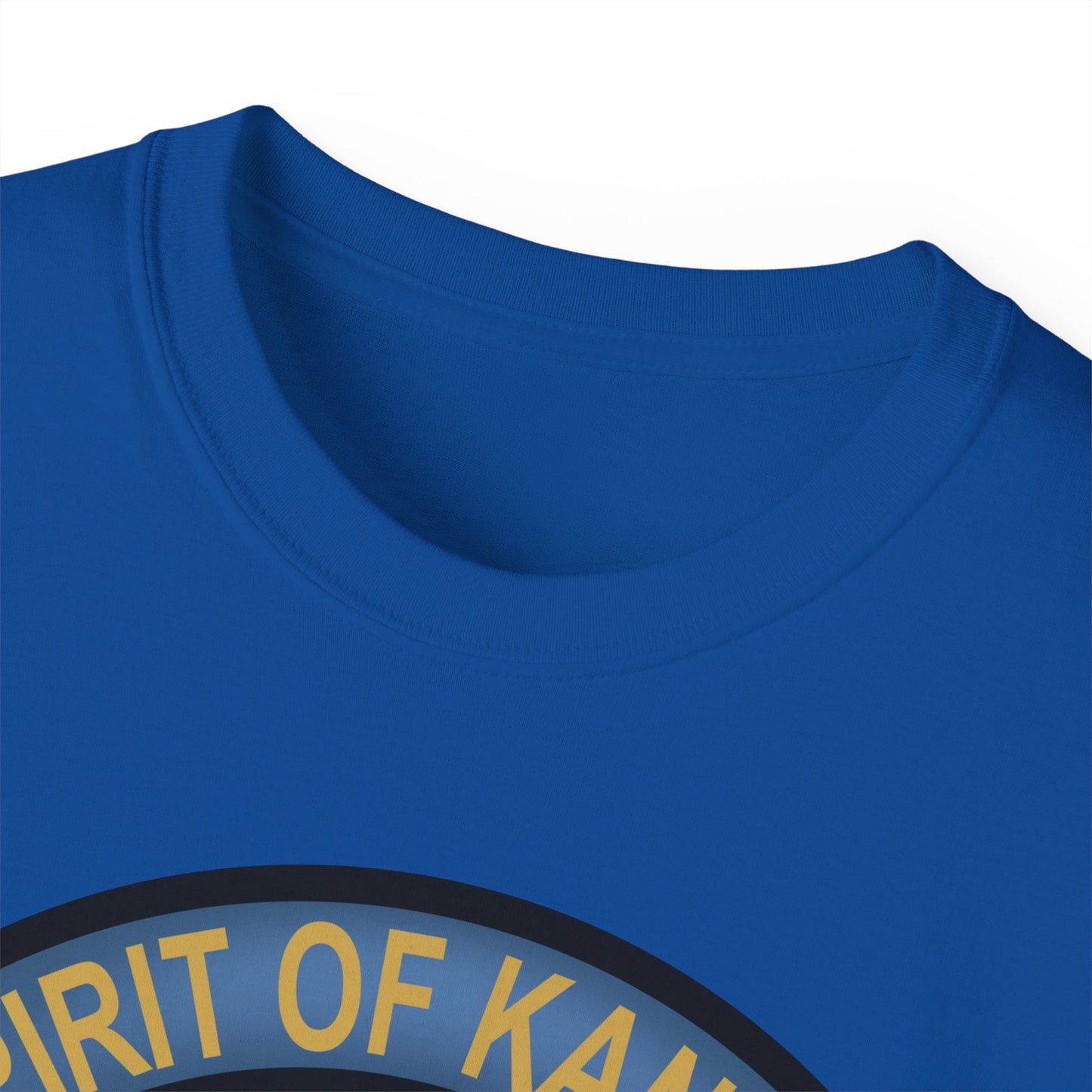 Unisex Ultra Cotton Tee - USAF - B2 - Spirit of Kansas - Stealth Bomber wo txt X 300