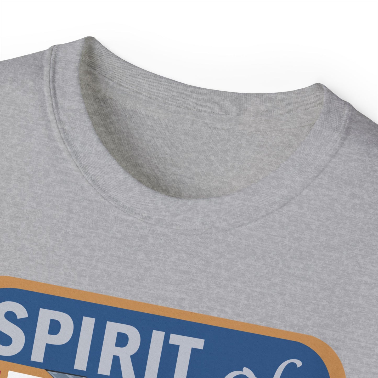 Unisex Ultra Cotton Tee - USAF - B2 - Spirit of California - Stealth Bomber wo txt X 300
