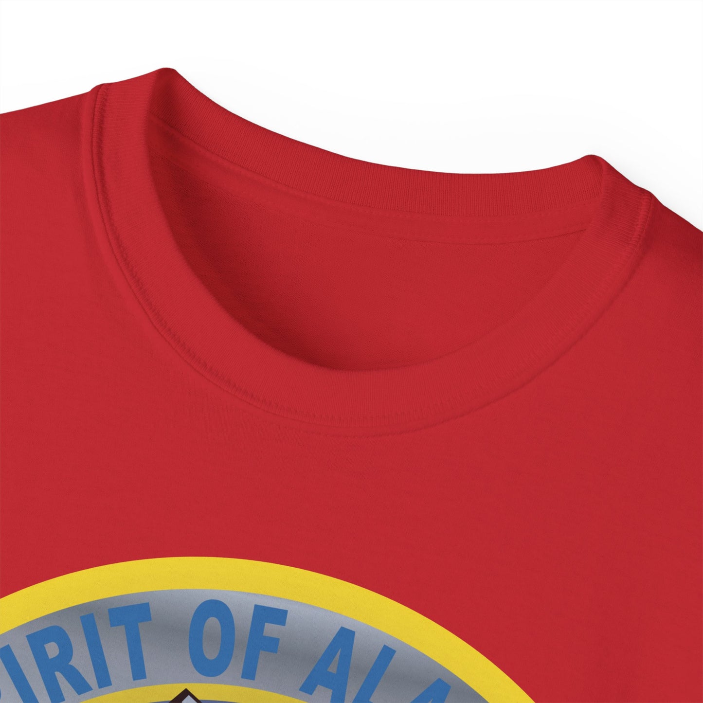 Unisex Ultra Cotton Tee - USAF - B2 - Spirit of Alaska - Stealth Bomber wo txt X 300
