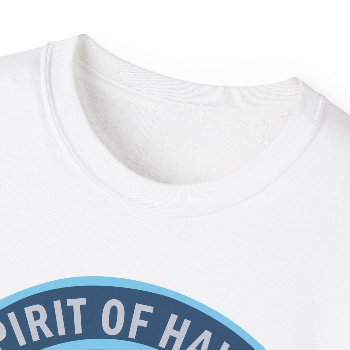 Unisex Ultra Cotton Tee - USAF - B2 - Spirit of Hawaii - Stealth Bomber wo txt X 300