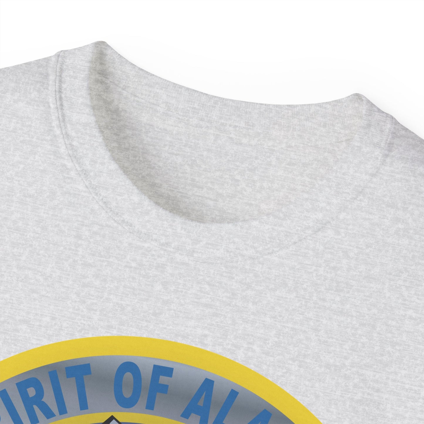Unisex Ultra Cotton Tee - USAF - B2 - Spirit of Alaska - Stealth Bomber wo txt X 300