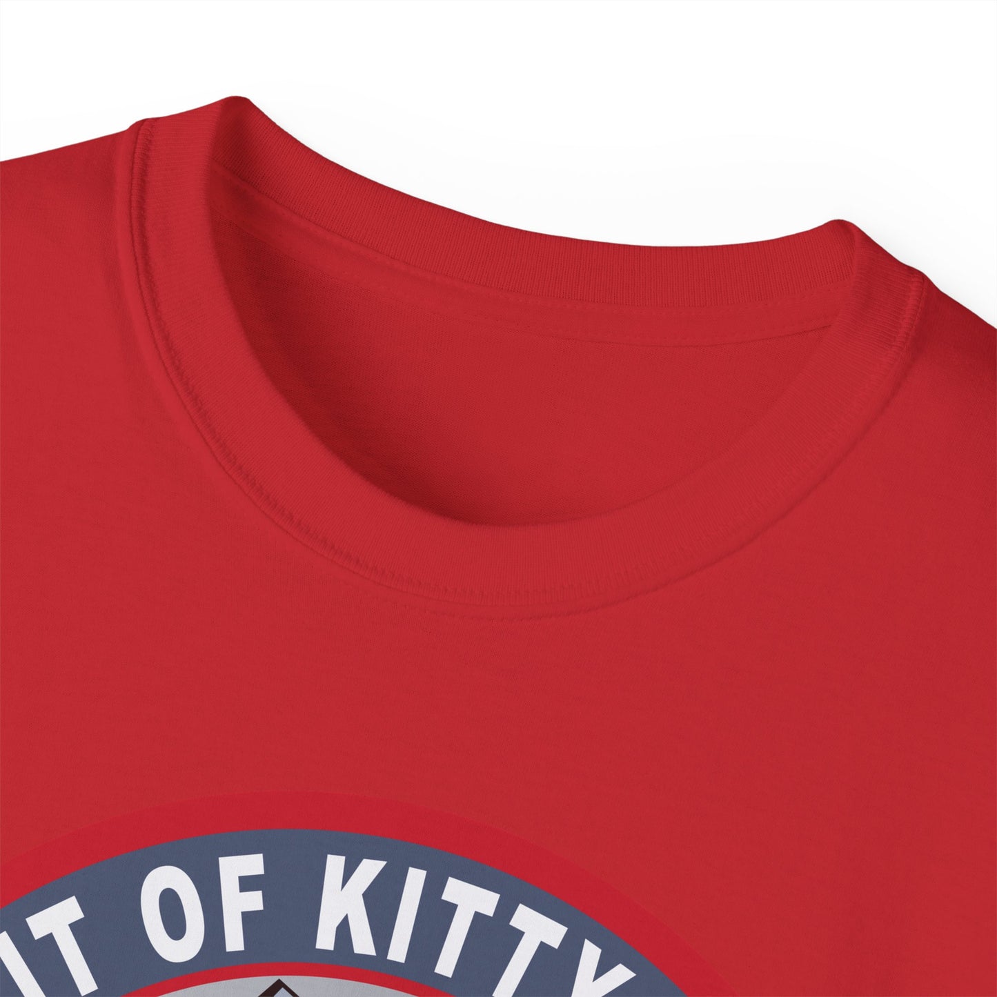 Unisex Ultra Cotton Tee -USAF - B2 - Spirit of Kitty Hawk - Stealth Bomber wo txt X 300