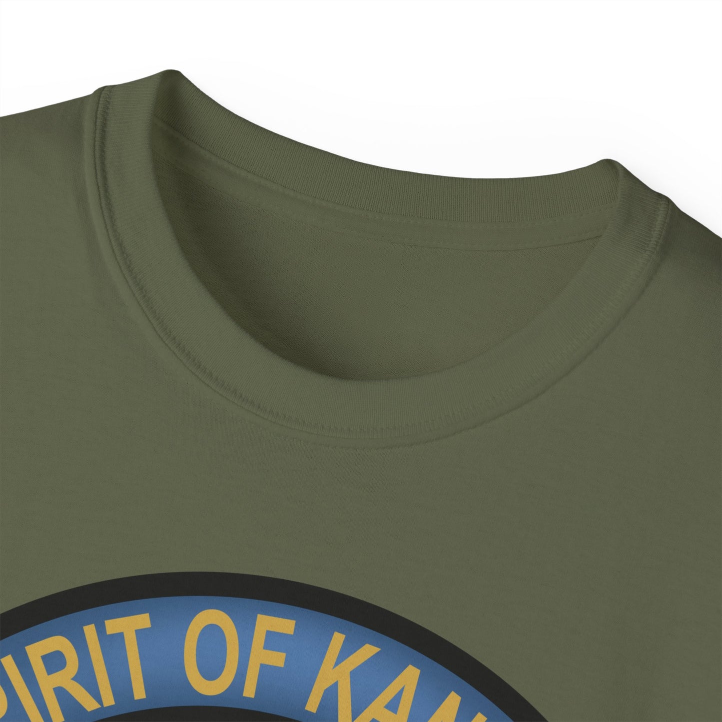 Unisex Ultra Cotton Tee - USAF - B2 - Spirit of Kansas - Stealth Bomber wo txt X 300