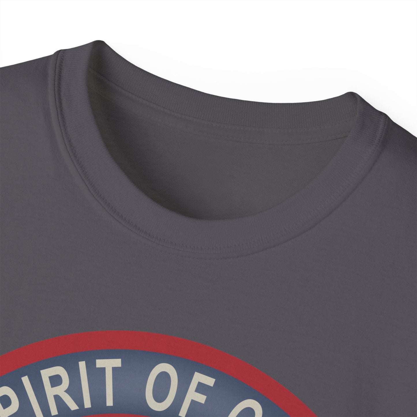 Unisex Ultra Cotton Tee - USAF - B2 - Spirit of Ohio - Stealth Bomber wo txt X 300