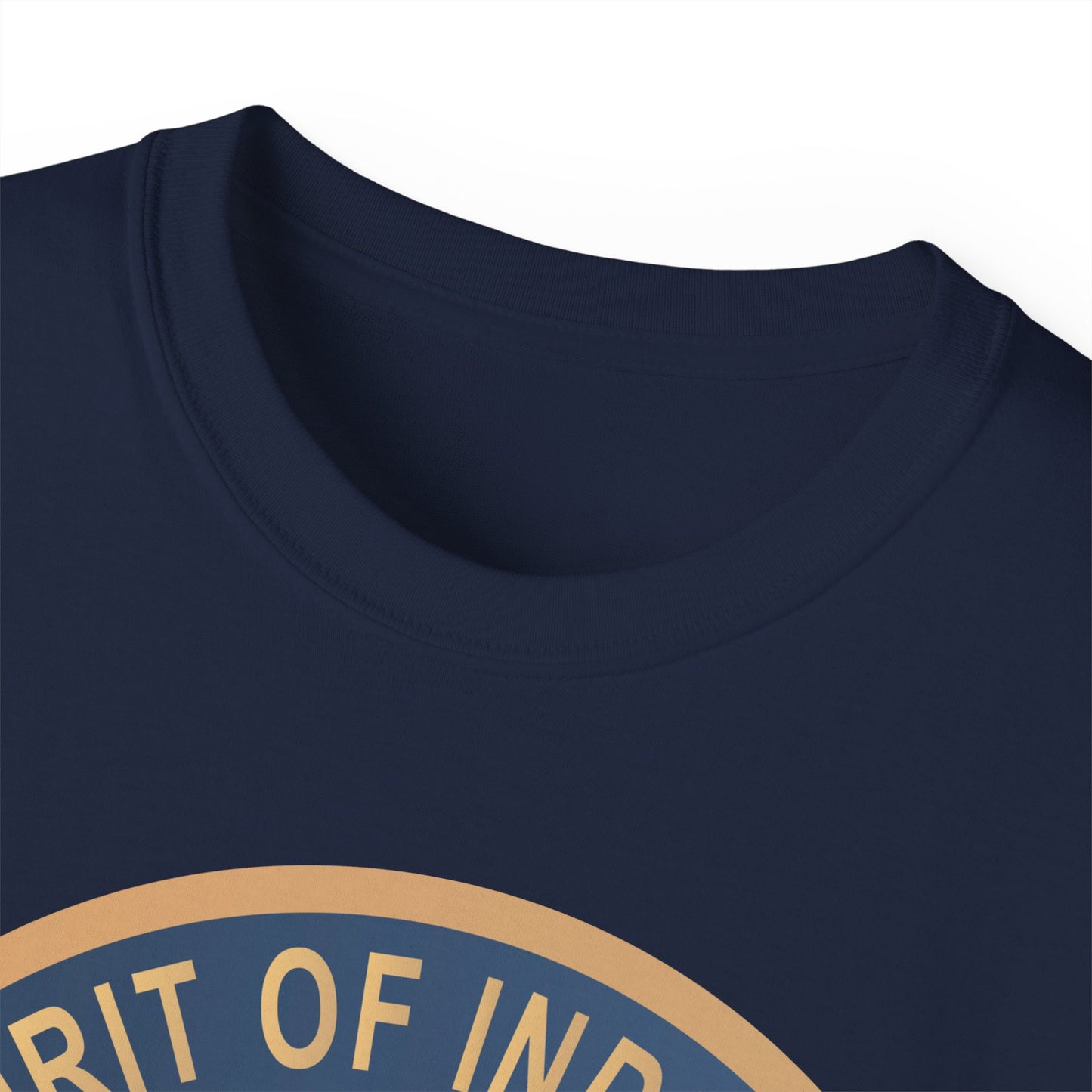 Unisex Ultra Cotton Tee - USAF - B2 - Spirit of Indiana - Stealth Bomber wo txt X 300