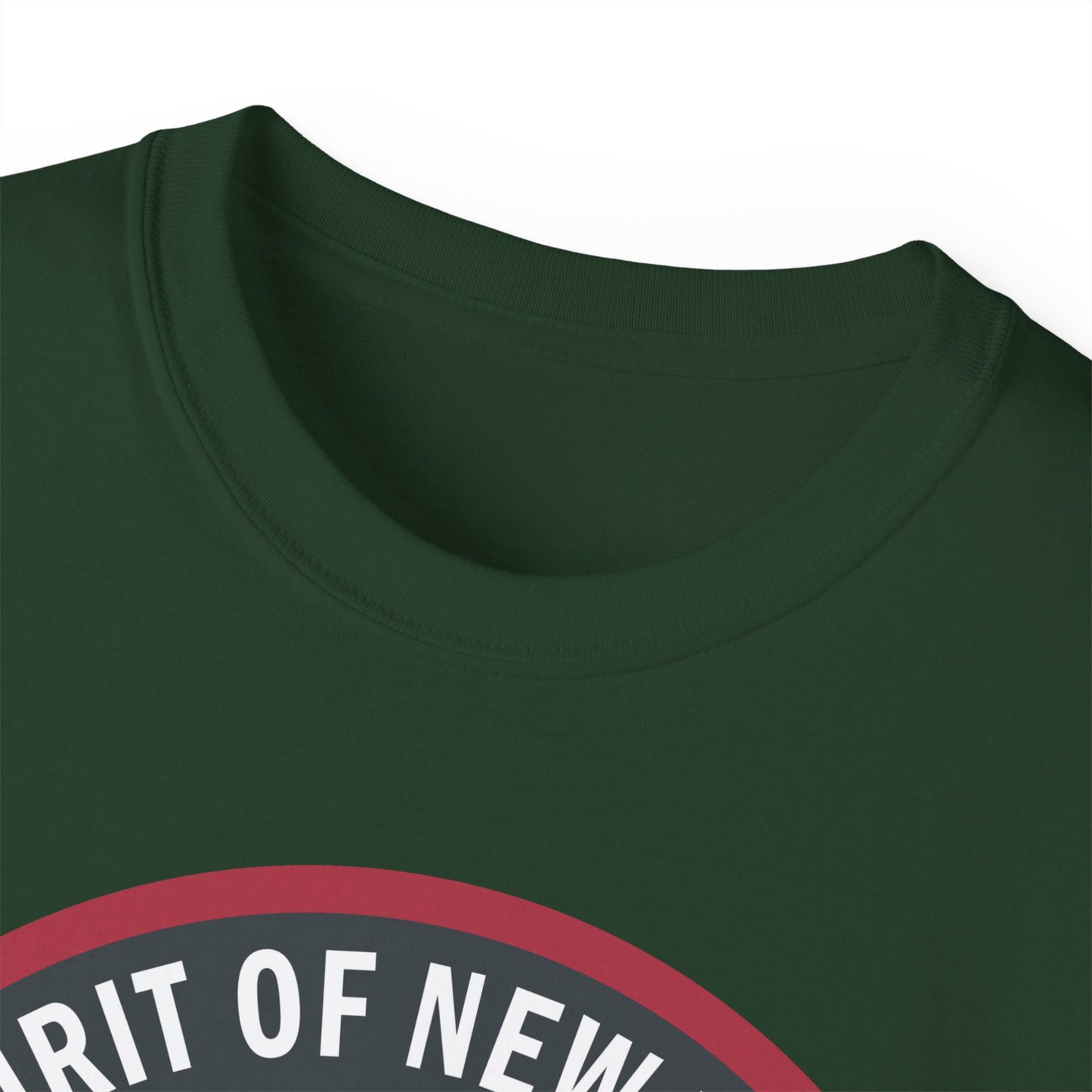 Unisex Ultra Cotton Tee - USAF - B2 - Spirit of New York - Stealth Bomber wo txt X 300