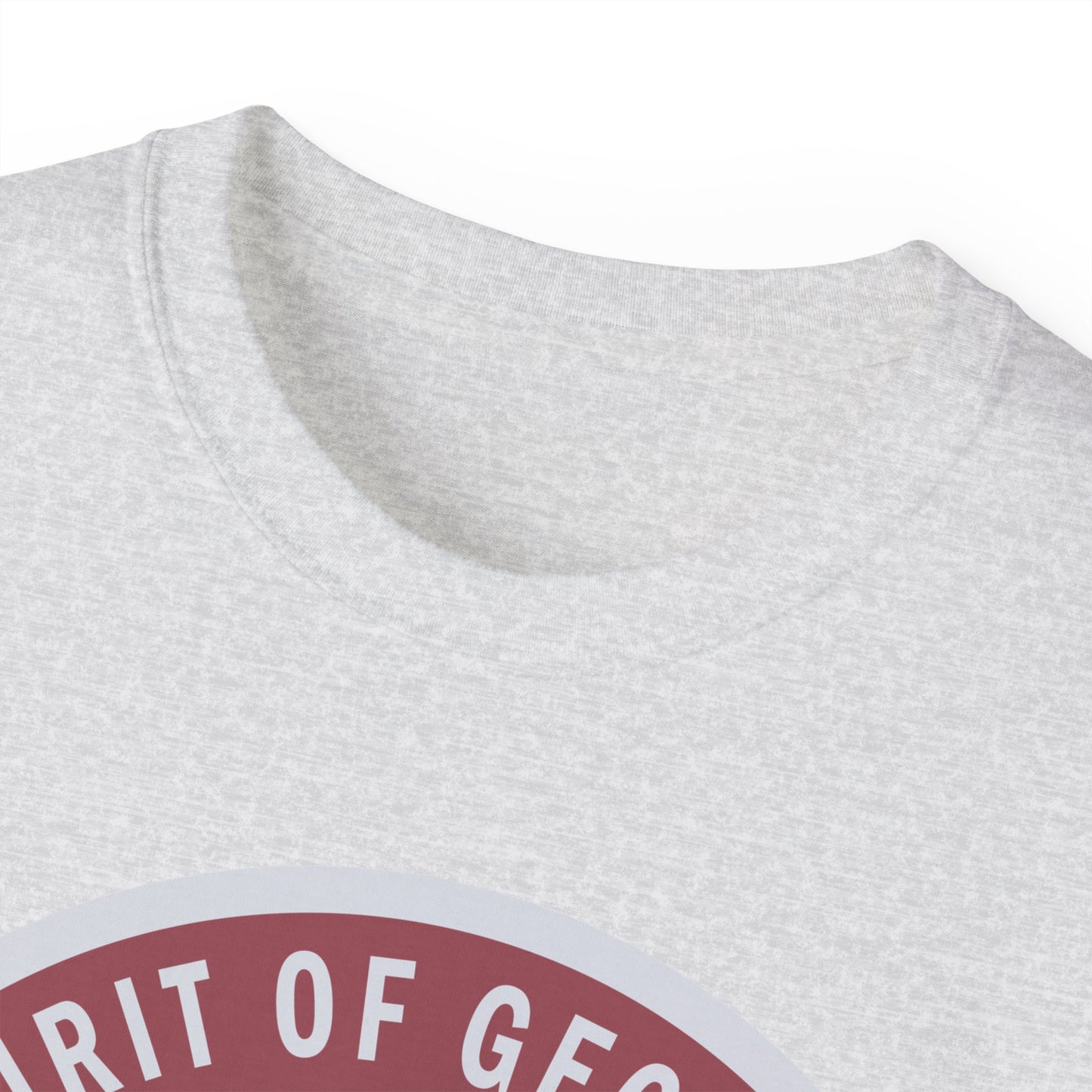 Unisex Ultra Cotton Tee - USAF - B2 - Spirit of Georgia - Stealth Bomber wo txt X 300