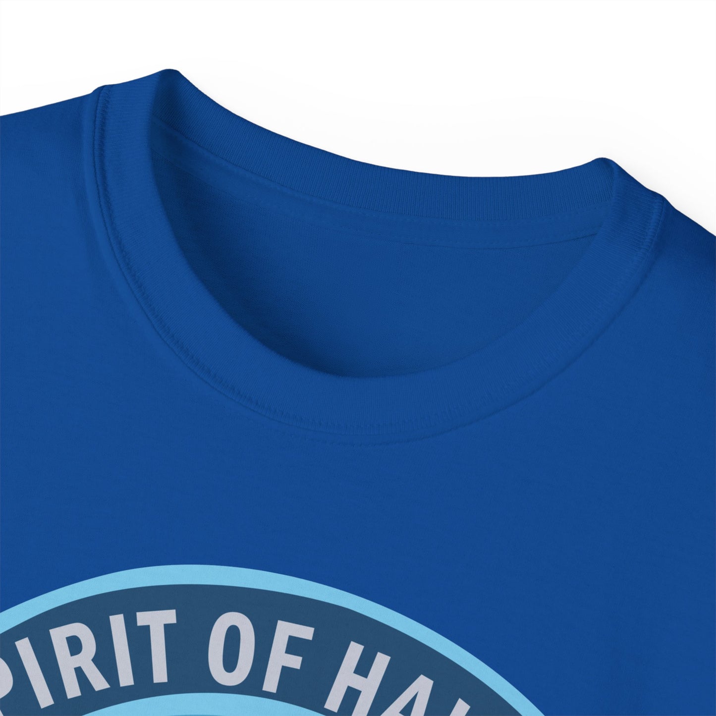 Unisex Ultra Cotton Tee - USAF - B2 - Spirit of Hawaii - Stealth Bomber wo txt X 300