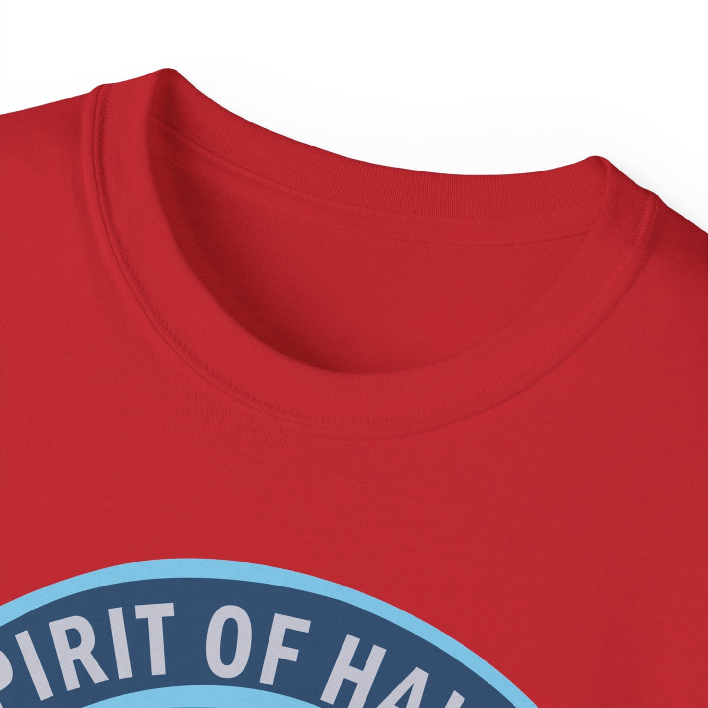 Unisex Ultra Cotton Tee - USAF - B2 - Spirit of Hawaii - Stealth Bomber wo txt X 300
