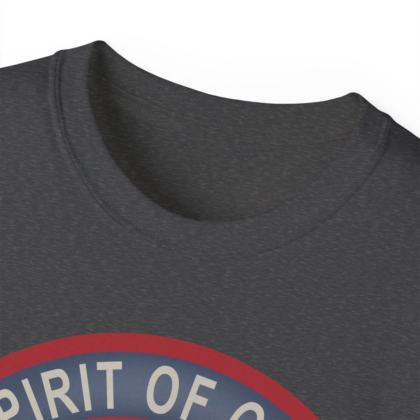 Unisex Ultra Cotton Tee - USAF - B2 - Spirit of Ohio - Stealth Bomber wo txt X 300