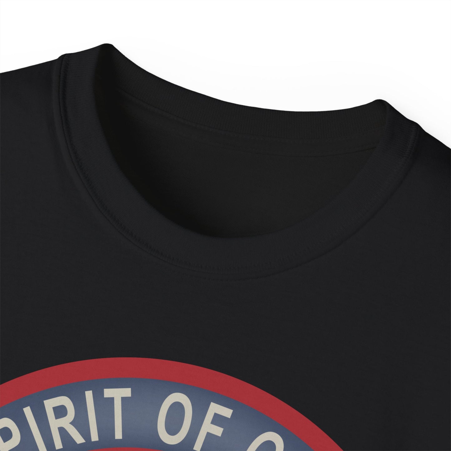 Unisex Ultra Cotton Tee - USAF - B2 - Spirit of Ohio - Stealth Bomber wo txt X 300