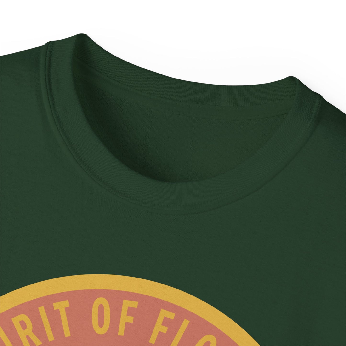 Unisex Ultra Cotton Tee - USAF - B2 - Spirit of Florida - Stealth Bomber wo txt X 300