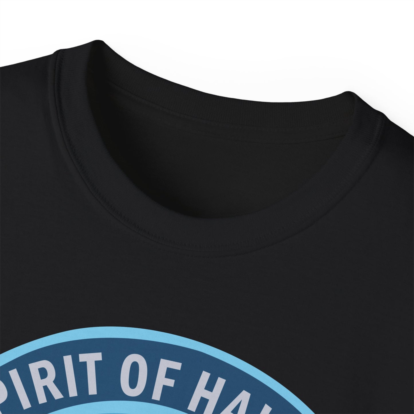 Unisex Ultra Cotton Tee - USAF - B2 - Spirit of Hawaii - Stealth Bomber wo txt X 300