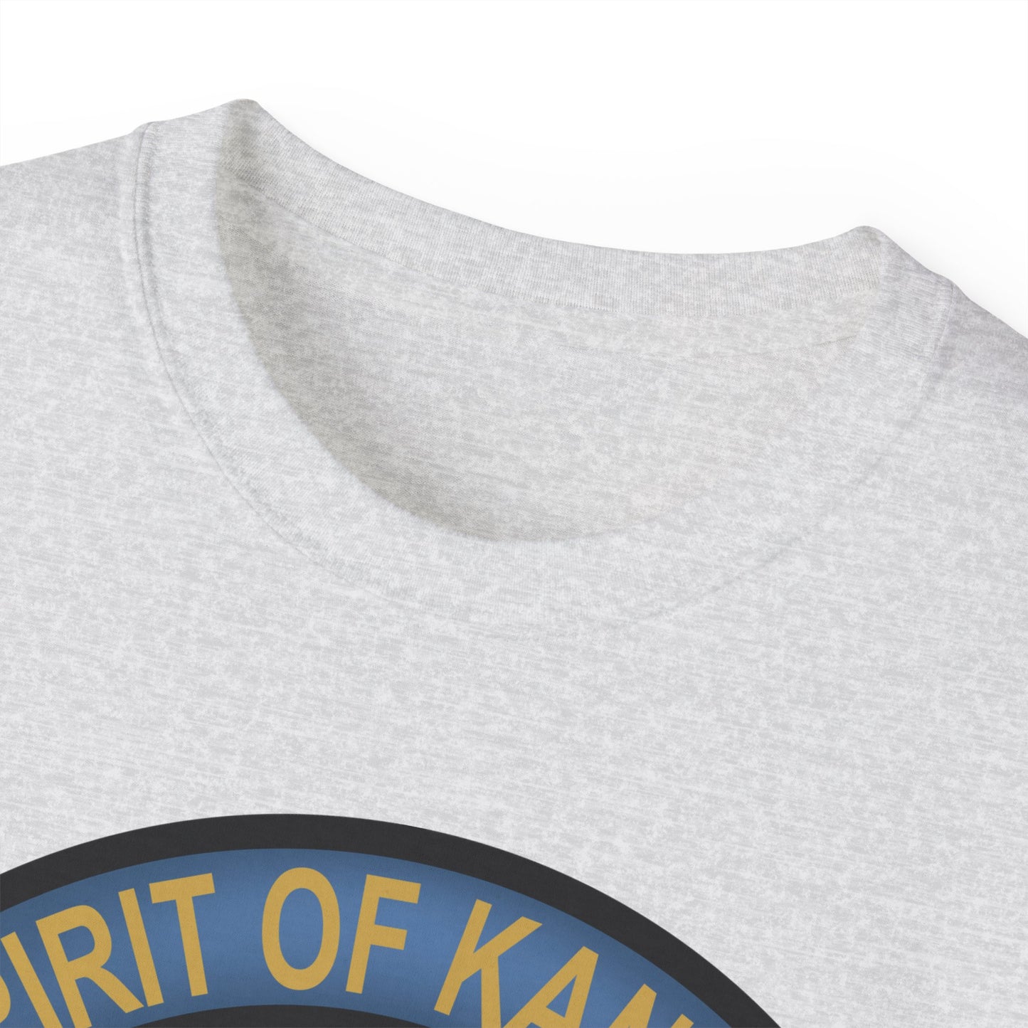 Unisex Ultra Cotton Tee - USAF - B2 - Spirit of Kansas - Stealth Bomber wo txt X 300