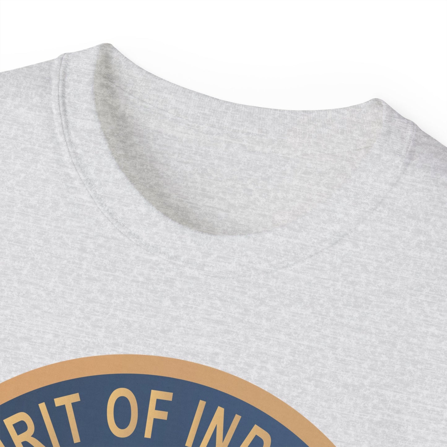 Unisex Ultra Cotton Tee - USAF - B2 - Spirit of Indiana - Stealth Bomber wo txt X 300