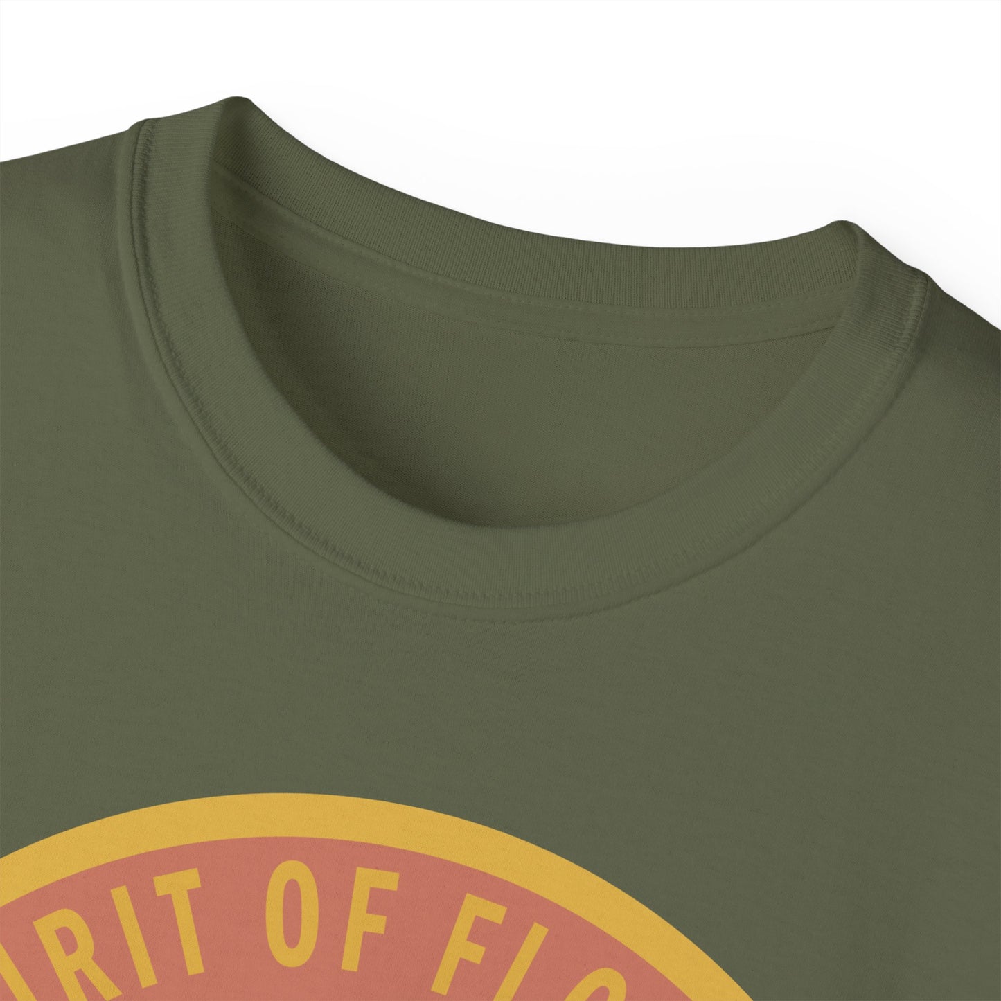 Unisex Ultra Cotton Tee - USAF - B2 - Spirit of Florida - Stealth Bomber wo txt X 300