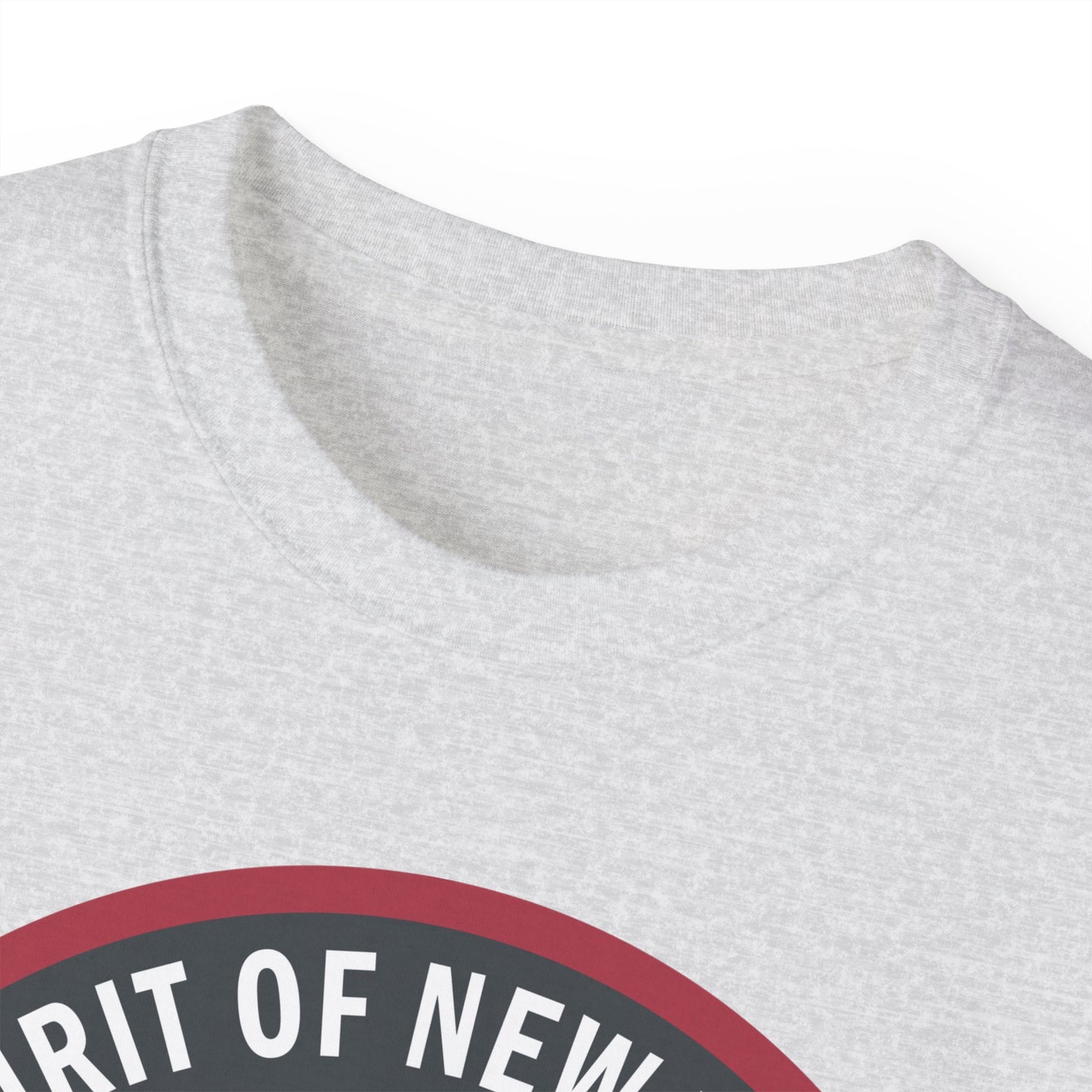 Unisex Ultra Cotton Tee - USAF - B2 - Spirit of New York - Stealth Bomber wo txt X 300