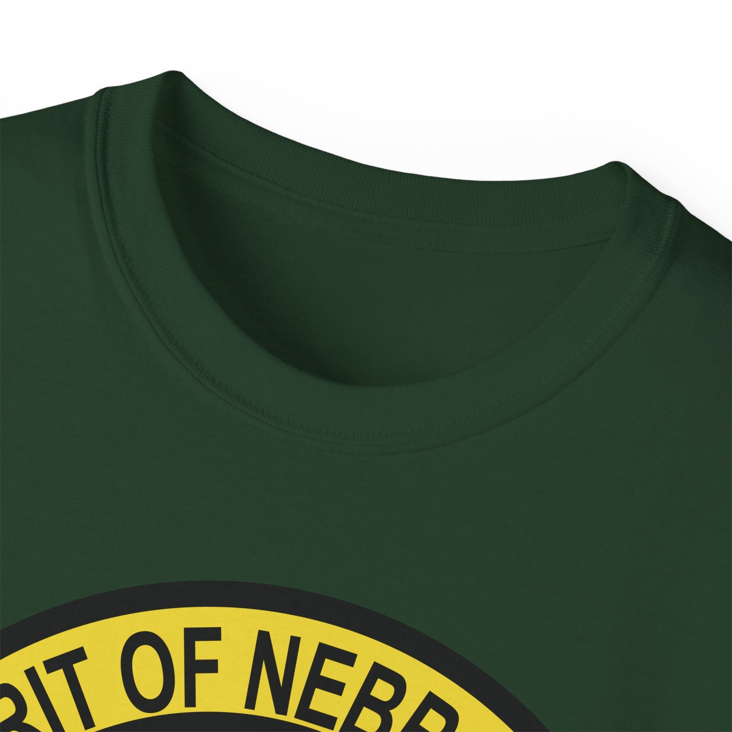 Unisex Ultra Cotton Tee - USAF - B2 - Spirit of Nebraska - Stealth Bomber wo txt X 300