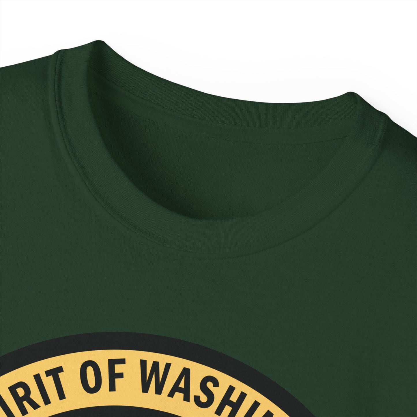Unisex Ultra Cotton Tee - USAF - B2 - Spirit of Washington - Stealth Bomber wo txt X 300