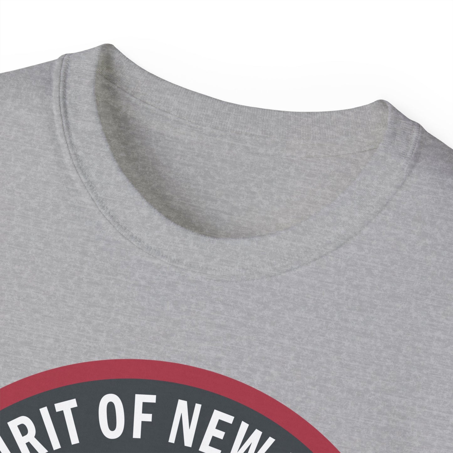 Unisex Ultra Cotton Tee - USAF - B2 - Spirit of New York - Stealth Bomber wo txt X 300