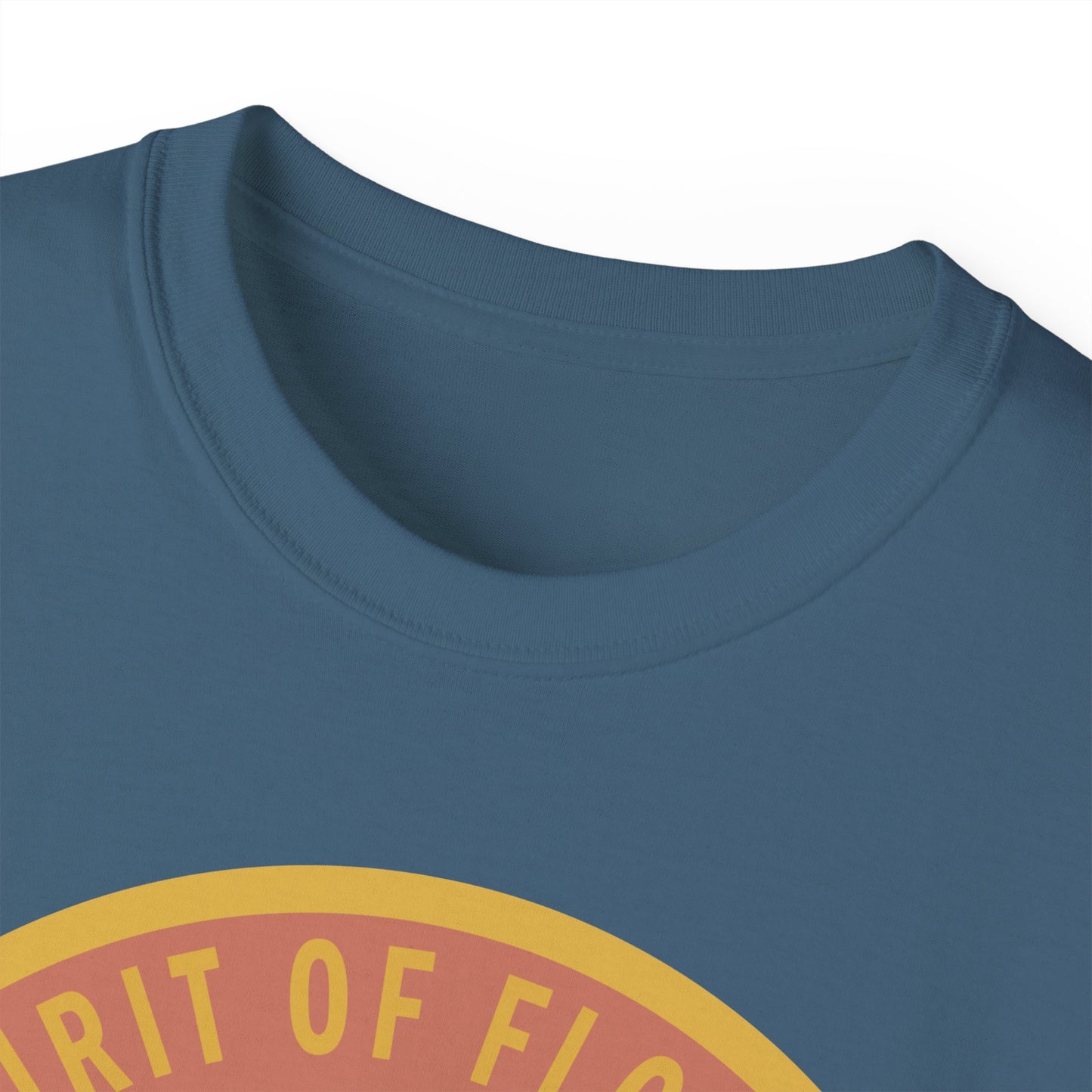 Unisex Ultra Cotton Tee - USAF - B2 - Spirit of Florida - Stealth Bomber wo txt X 300