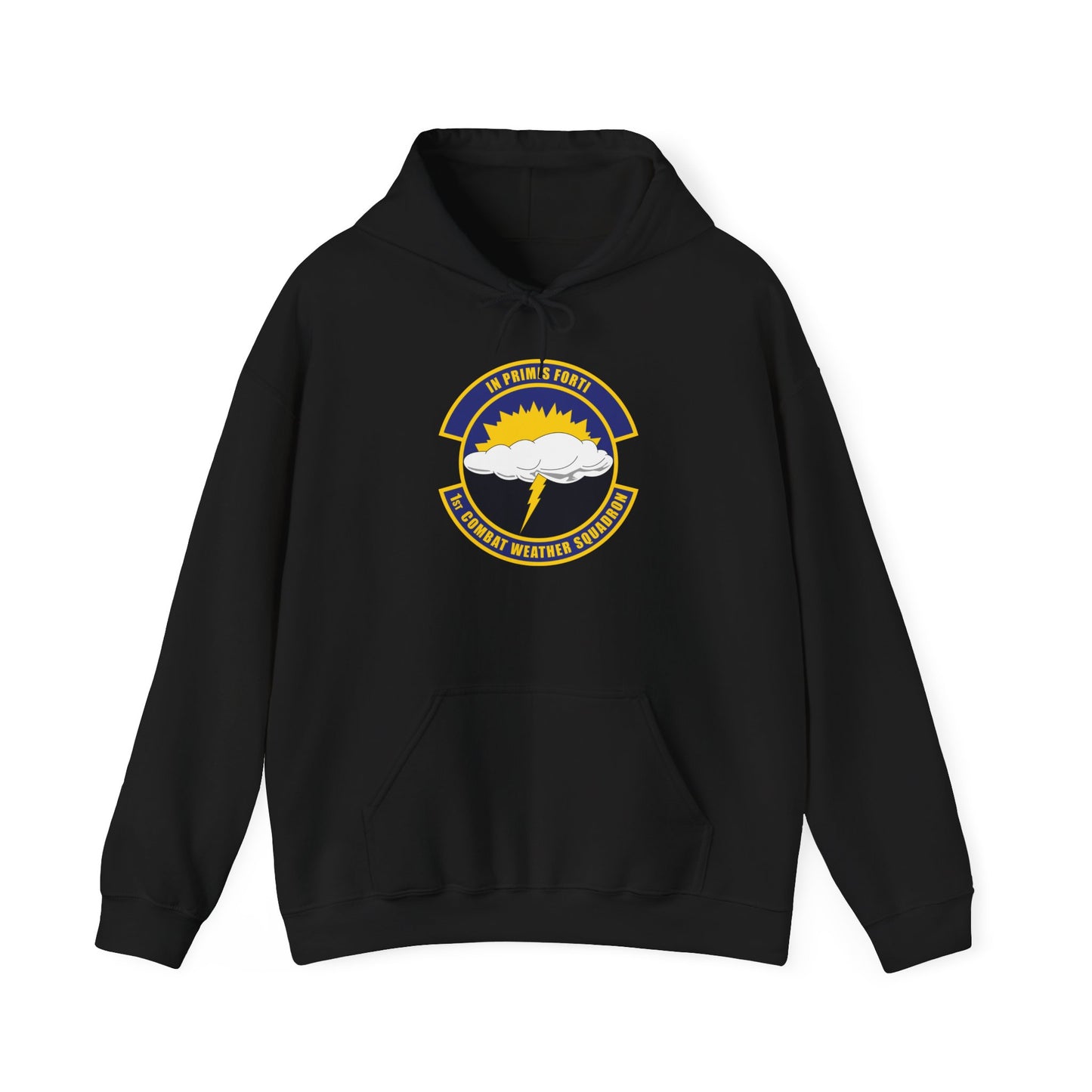 Unisex Heavy Blend Hooded Sweatshirt -USAF - 1st Combat Weather Squadron (PACAF) wo txt