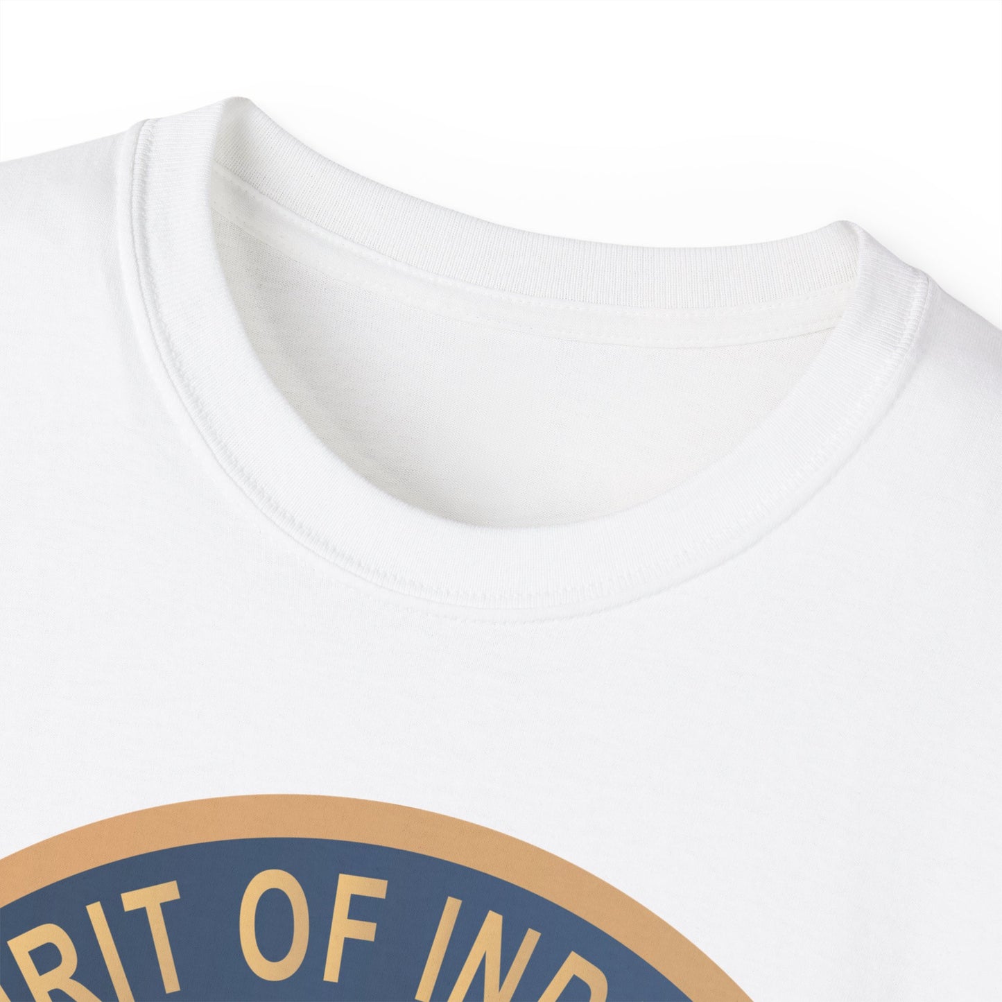Unisex Ultra Cotton Tee - USAF - B2 - Spirit of Indiana - Stealth Bomber wo txt X 300