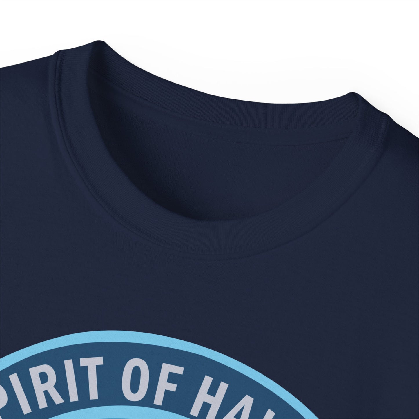 Unisex Ultra Cotton Tee - USAF - B2 - Spirit of Hawaii - Stealth Bomber wo txt X 300