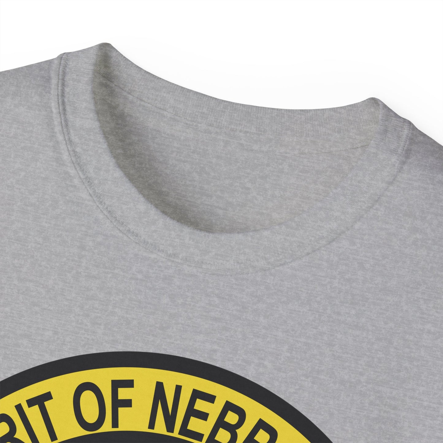 Unisex Ultra Cotton Tee - USAF - B2 - Spirit of Nebraska - Stealth Bomber wo txt X 300
