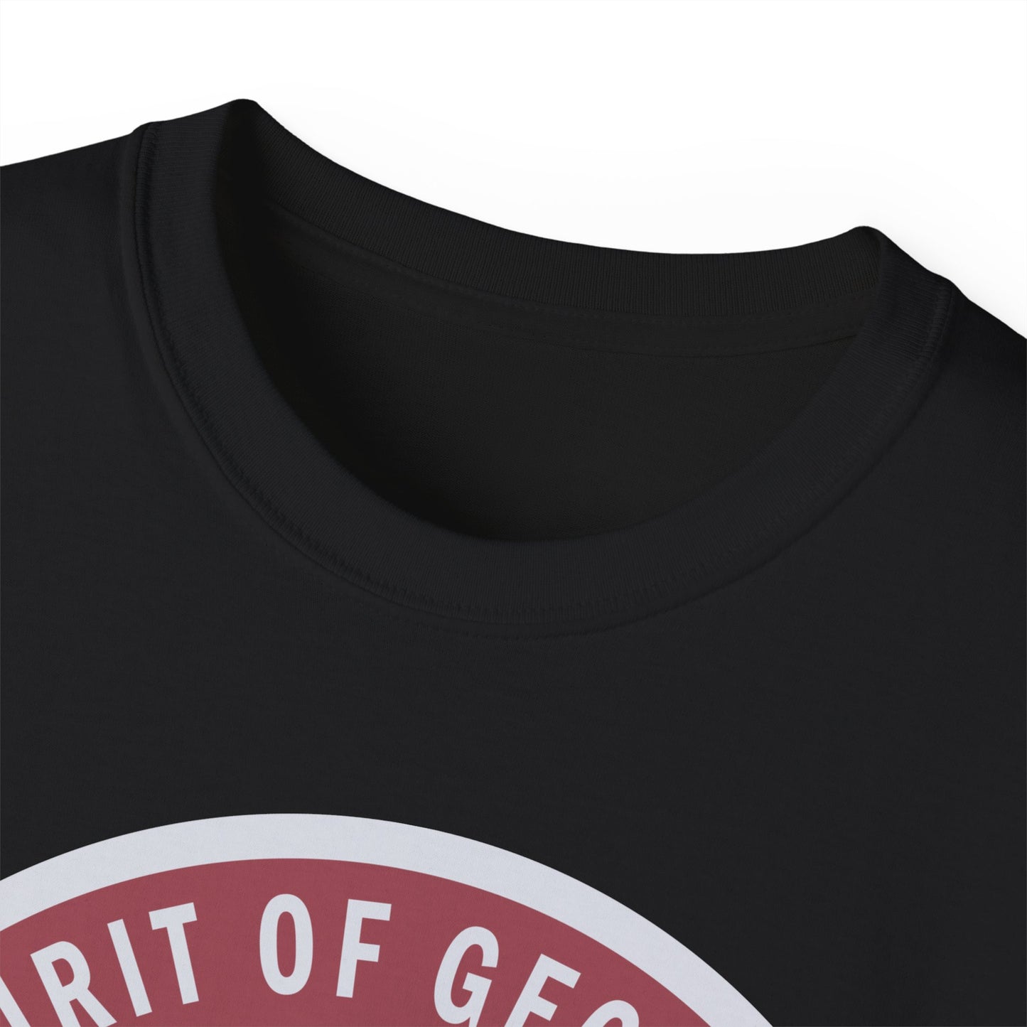 Unisex Ultra Cotton Tee - USAF - B2 - Spirit of Georgia - Stealth Bomber wo txt X 300