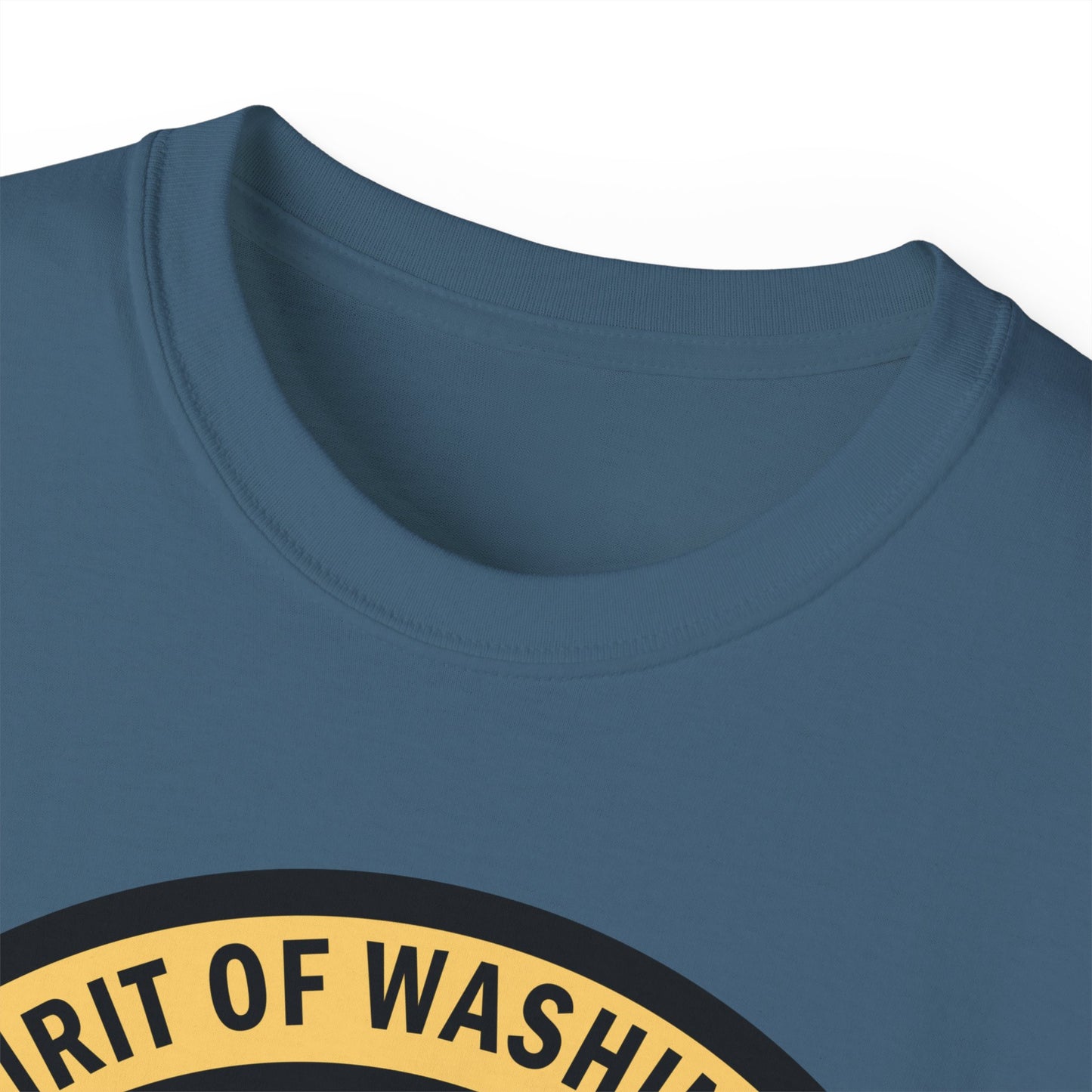 Unisex Ultra Cotton Tee - USAF - B2 - Spirit of Washington - Stealth Bomber wo txt X 300