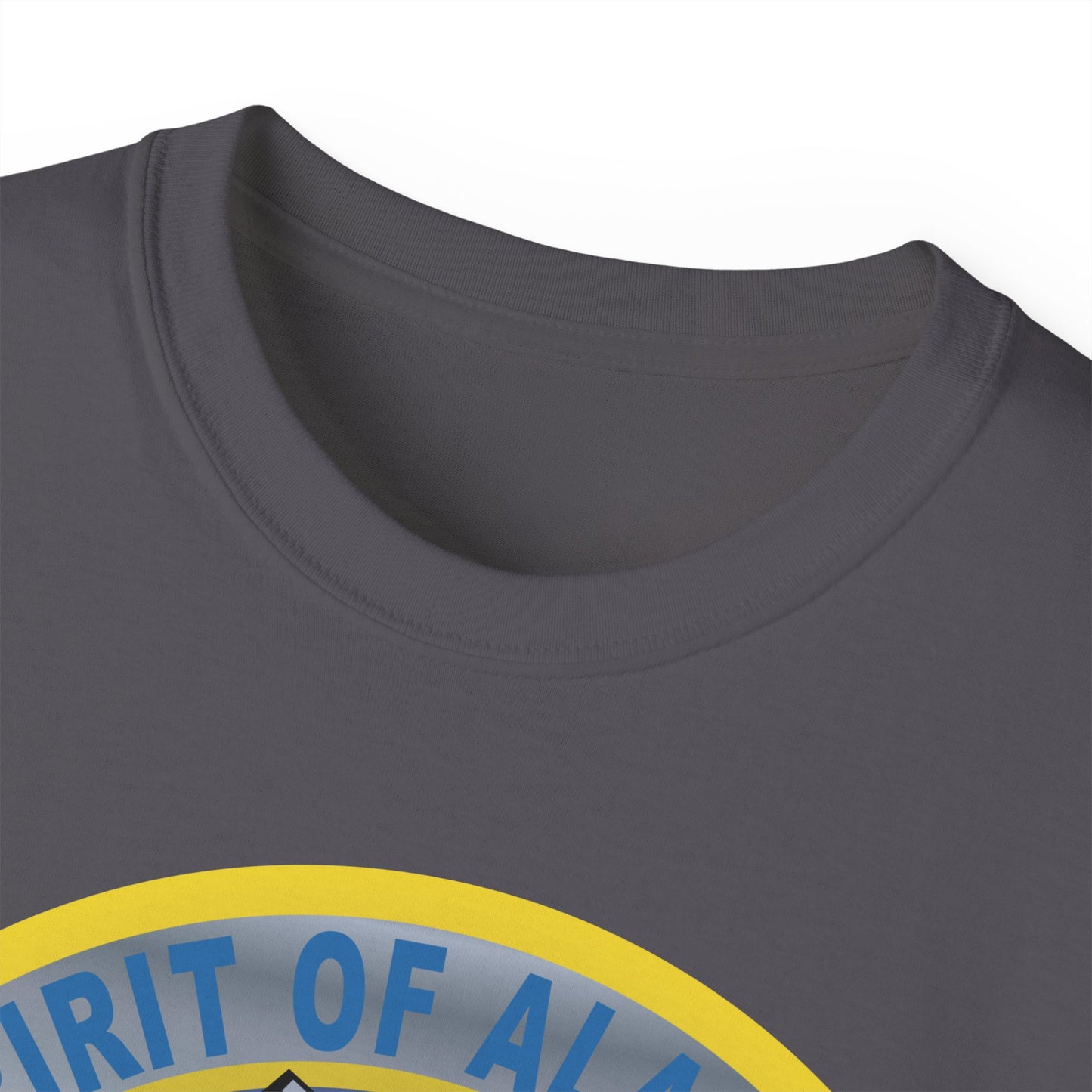 Unisex Ultra Cotton Tee - USAF - B2 - Spirit of Alaska - Stealth Bomber wo txt X 300