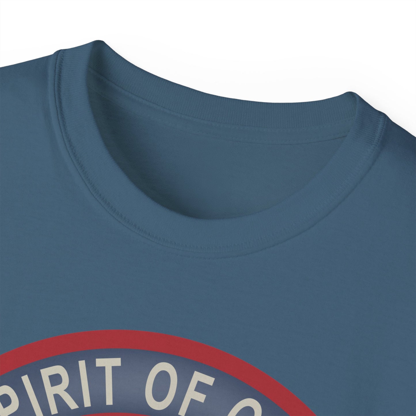 Unisex Ultra Cotton Tee - USAF - B2 - Spirit of Ohio - Stealth Bomber wo txt X 300